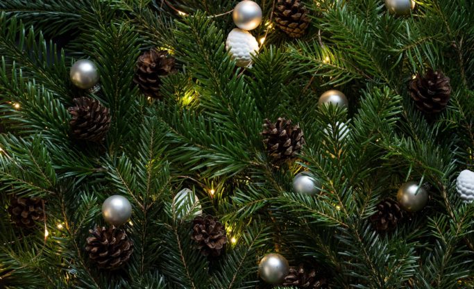 Christmas opening hours small - Bournemouth Foodbank